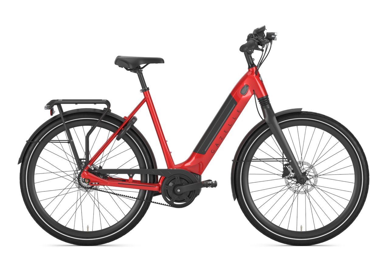 Gazelle Ultimate c8+ hmb belt l53 champion red s8